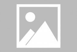 和平精英最新爆料转盘